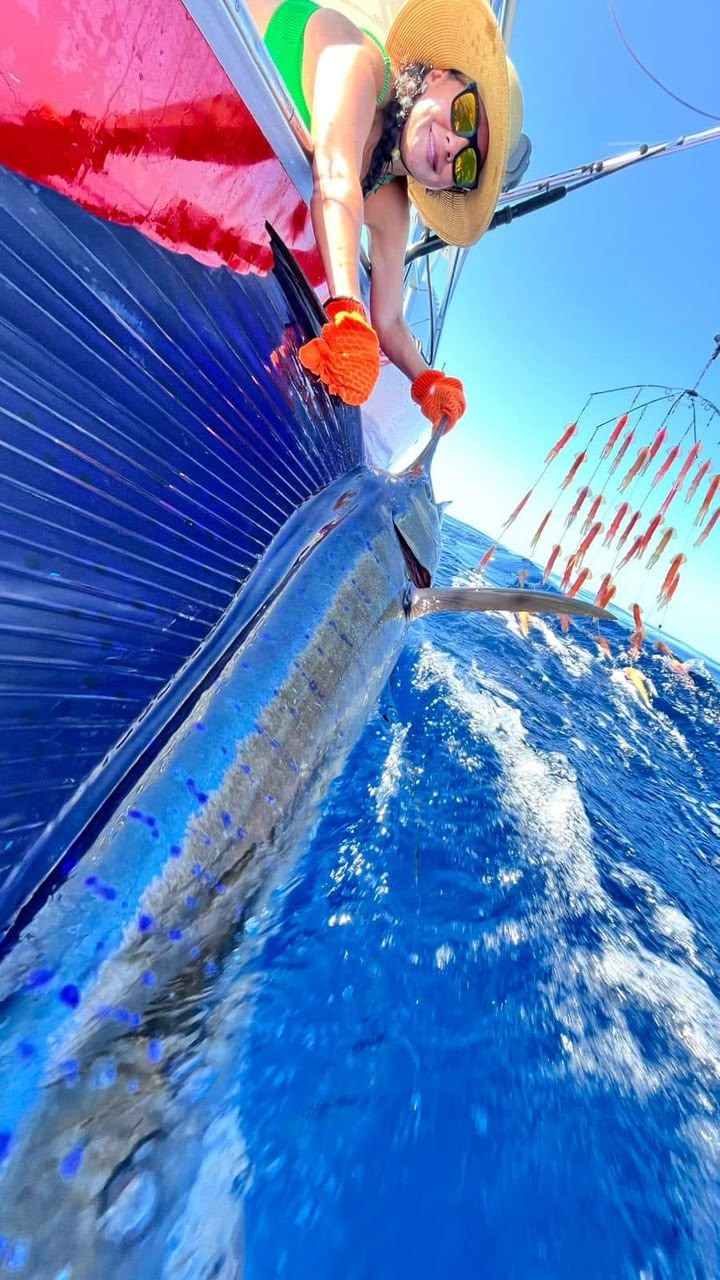 Close view of a large billfish alongside a sport fishing boat
