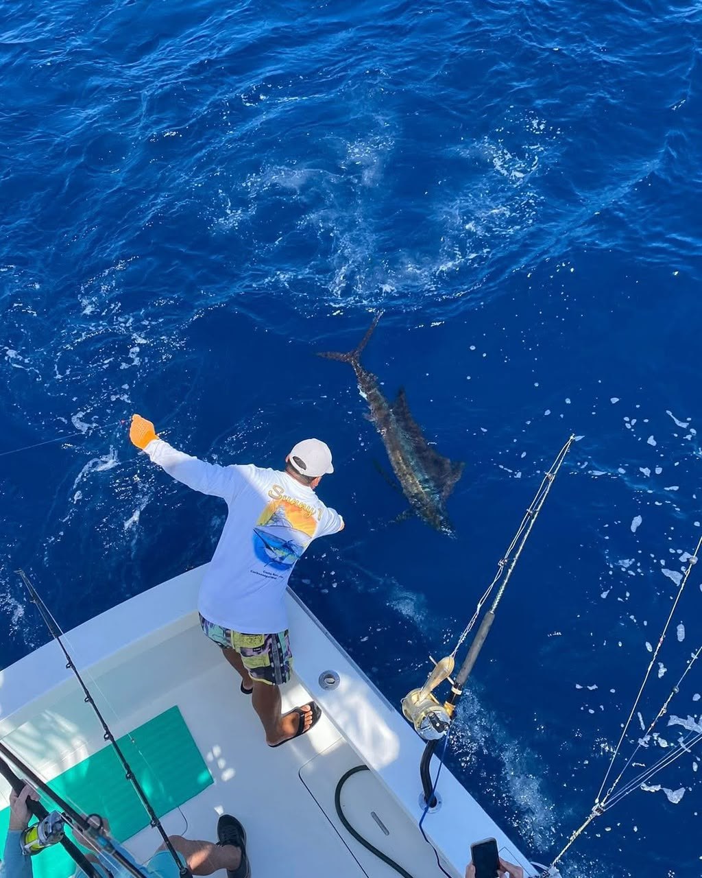 Sport fishing activity with a billfish in the water